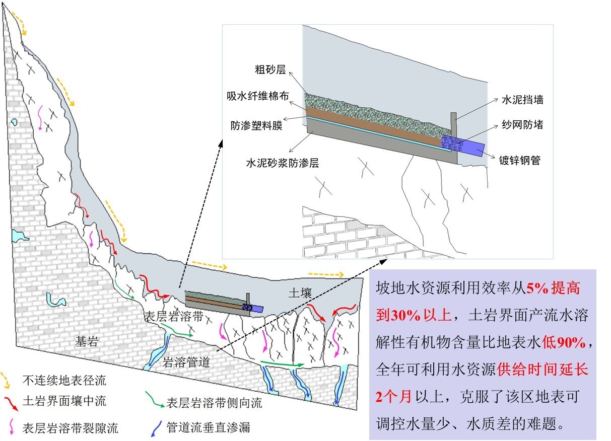 喀斯特坡地土巖界面產流水集蓄利用技術示意圖.jpg