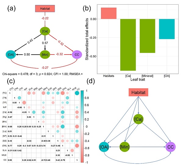圖2. 優勢樹種通過提高葉片Ca含量并影響葉片有機酸(OA),礦物質(Min)和葉片構建成本(CC)來適應喀斯特生境。.jpg