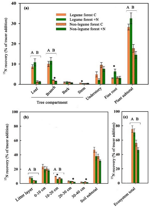 圖1. 外源輸入氮（大氣沉降氮和氮添加）在豆科林和非豆科林中的留存和分配模式.png