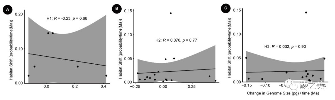 圖4. 基因組大小與生境類型在單位時間（百萬年，Ma）變化概率之間的關系.jpg