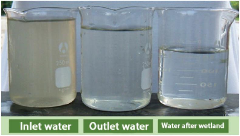 圖3. 污水處理效果.jpg