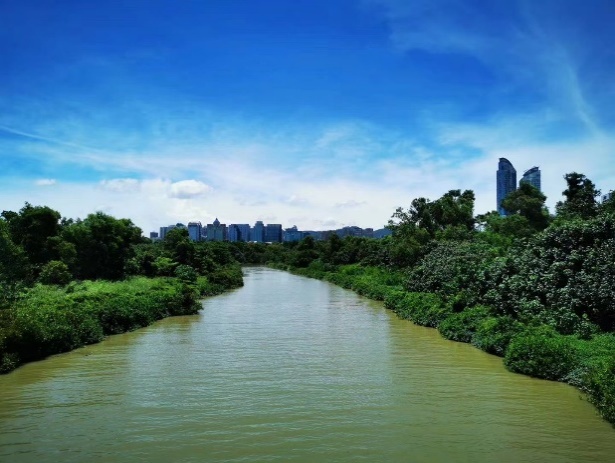 圖4. 河道由硬化改為生態(tài)化的實(shí)景2.jpg