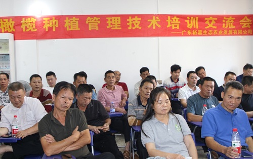 4.橄欖種植技術(shù)交流會(huì).jpg