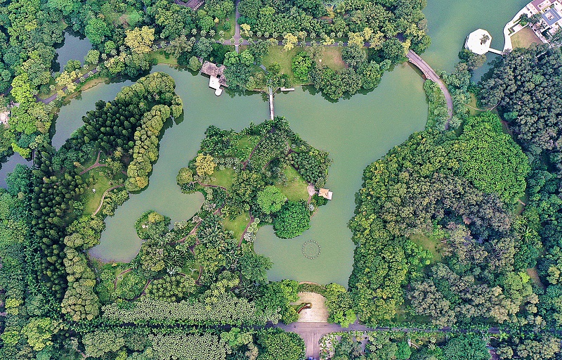 5.華南植物園展示區鳥瞰圖（楊曉 攝）.jpg